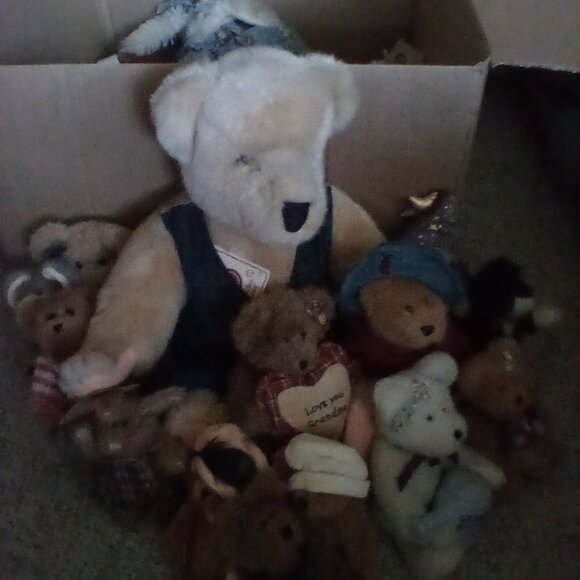 Boyd's bears - Picture 1 of 3